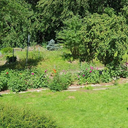 Ferienhaus In Geesthacht-Tesperhude Direkt Am Waldrand المظهر الخارجي الصورة