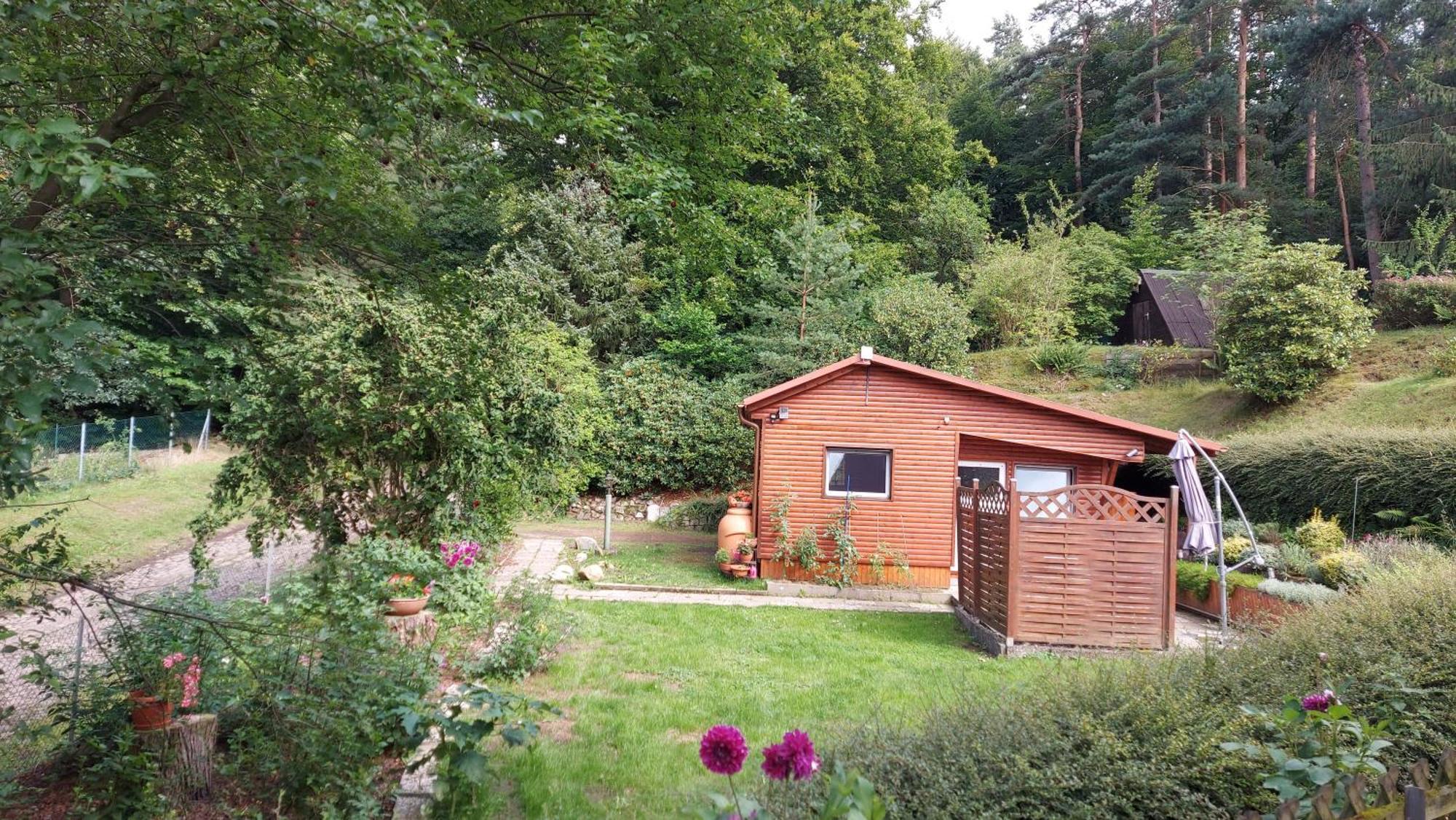 Ferienhaus In Geesthacht-Tesperhude Direkt Am Waldrand المظهر الخارجي الصورة