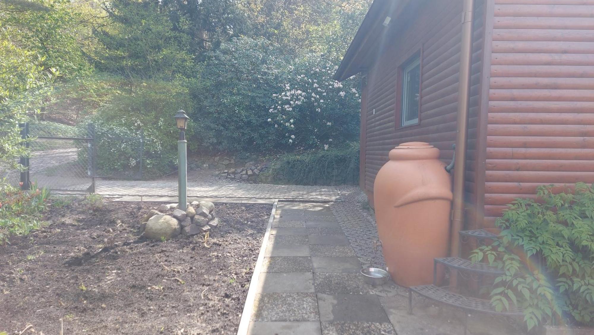 Ferienhaus In Geesthacht-Tesperhude Direkt Am Waldrand المظهر الخارجي الصورة