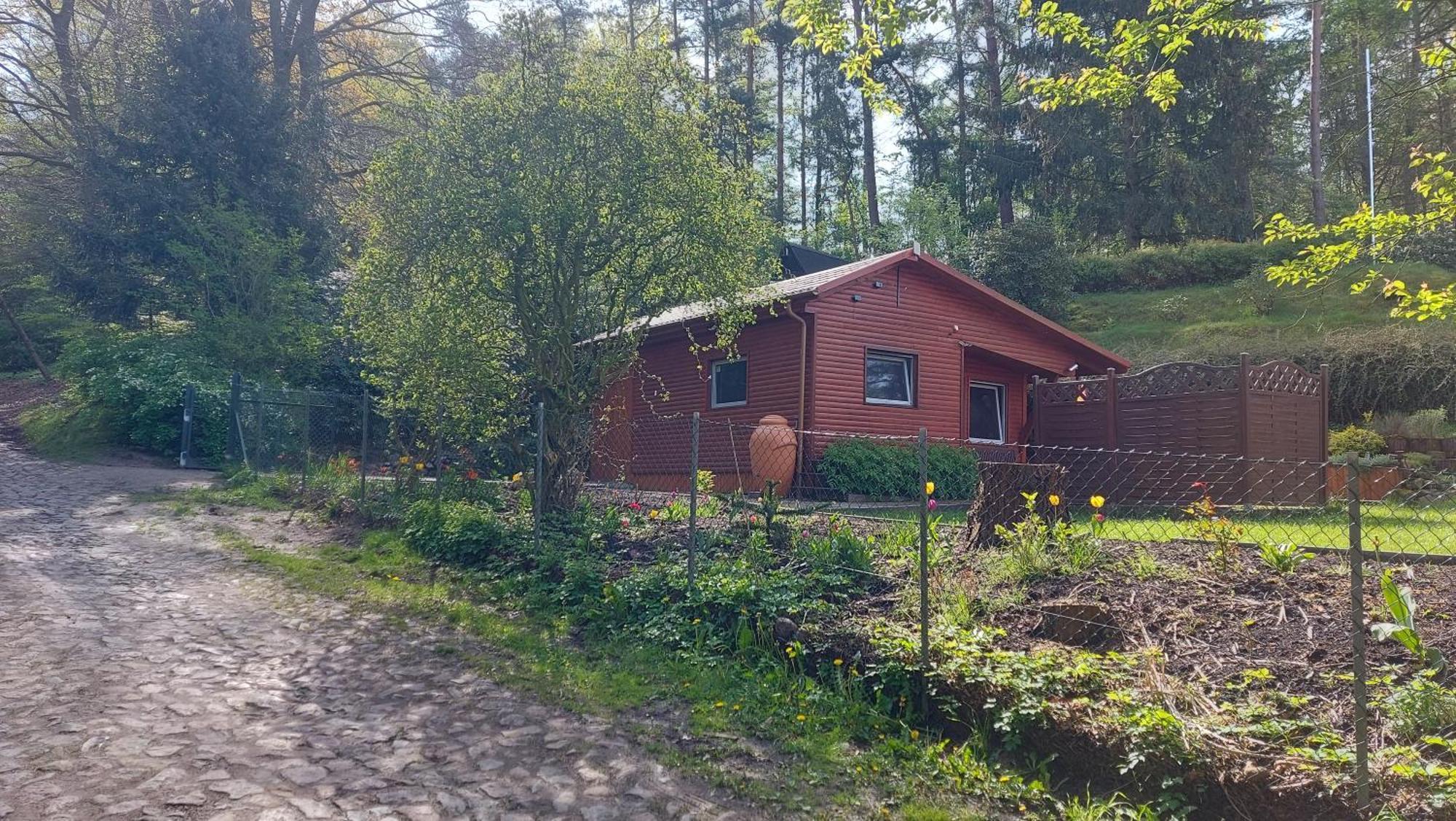 Ferienhaus In Geesthacht-Tesperhude Direkt Am Waldrand المظهر الخارجي الصورة
