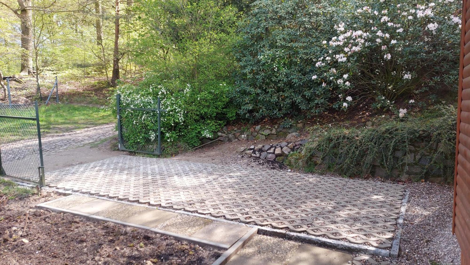 Ferienhaus In Geesthacht-Tesperhude Direkt Am Waldrand المظهر الخارجي الصورة